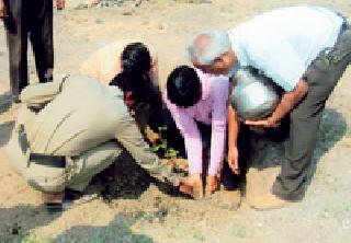 Pingaladevi fort will flourish with greenery | पिंगळादेवी गड हिरवळीने बहरणार Pingaladevi fort will flourish with greenery | पिंगळादेवी गड हिरवळीने बहरणार