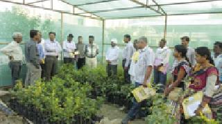 Farmers should focus on protected farming | शेतकऱ्यांनी संरक्षित शेतीवर भर द्यावा Farmers should focus on protected farming | शेतकऱ्यांनी संरक्षित शेतीवर भर द्यावा