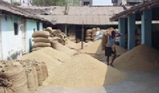 Kharipa rice came in the market | खरिपाचे धान आले बाजारात Kharipa rice came in the market | खरिपाचे धान आले बाजारात