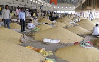 Oilseed storage order is in confusion | तेलबिया साठवणूक आदेशाने गोंधळाची स्थिती Oilseed storage order is in confusion | तेलबिया साठवणूक आदेशाने गोंधळाची स्थिती