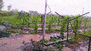 Rain for the second consecutive day in Malegaon area | मालेगाव परिसरात सलग दुसऱ्या दिवशी पाऊस