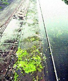 Dirt becomes dirty; Water is also green | घाट झाले गलिच्छ; पाणीही हिरवेगार Dirt becomes dirty; Water is also green | घाट झाले गलिच्छ; पाणीही हिरवेगार