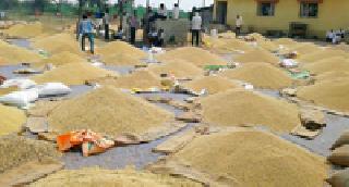 Soybean increased in ... | सोयाबीनची आवक वाढली... Soybean increased in ... | सोयाबीनची आवक वाढली...