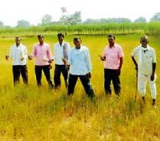Bhatti jambar farming is due to water failure | भट्टीजांबची शेती पाण्याअभावी करपली Bhatti jambar farming is due to water failure | भट्टीजांबची शेती पाण्याअभावी करपली