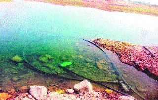 Water pond in the lake | तलावातील पाण्याचा उपसा