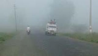 Shovel Muffler: | धुक्यांचे मफलर :