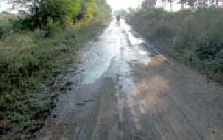 Canals, distributors defective; Water wastage | कालवे, वितरिका सदोष; पाण्याचा अपव्यय