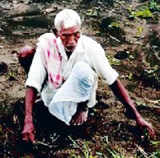 Diaspora families of 36 thousand farmers in the dark | ३६ हजार शेतकरी कुटुंबांची दिवाळी अंधारात