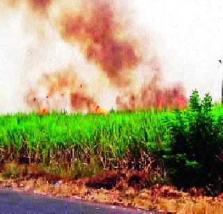 Four acres of sugarcane fire | साडेचार एकर उसाला आग