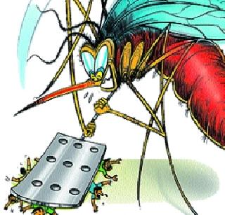 Dengue again pulled it back on the head | डेंगीने पुन्हा काढले डोके वर