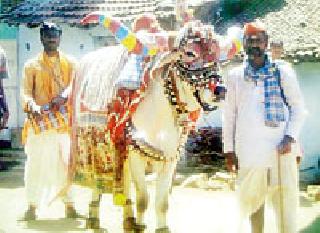 The crossing of the village and the bridge of the palace destroyed | गावाचा पार अन् पाटलाची ओसरी नष्ट The crossing of the village and the bridge of the palace destroyed | गावाचा पार अन् पाटलाची ओसरी नष्ट