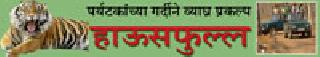 Tourists crowded tiger project housefull | पर्यटकांच्या गर्दीने व्याघ्र प्रकल्प हाऊसफुल्ल Tourists crowded tiger project housefull | पर्यटकांच्या गर्दीने व्याघ्र प्रकल्प हाऊसफुल्ल