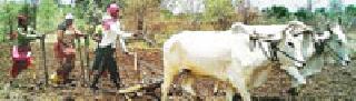 51 lakh loan allocation for Rabi for 51 lakh | रबीसाठी ५१ लाखांचे कर्ज वाटपरबीसाठी ५१ लाखांचे कर्ज वाटप 51 lakh loan allocation for Rabi for 51 lakh | रबीसाठी ५१ लाखांचे कर्ज वाटपरबीसाठी ५१ लाखांचे कर्ज वाटप