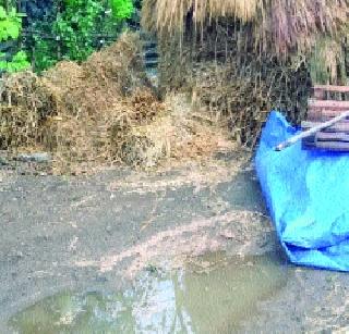 Due to the rain, the breakdown of the victims was broken | पावसामुळे बळीराजाचे कंबरडे मोडले