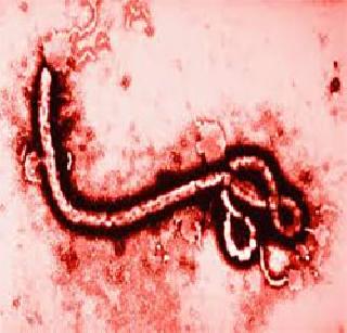 Ebola again died in Liberia, the death of one | लिबेरियात पुन्हा इबोला, एकाचा मृत्यू