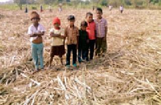 Right to Education ... | शिक्षणाचा हक्क वाऱ्यावर... Right to Education ... | शिक्षणाचा हक्क वाऱ्यावर...