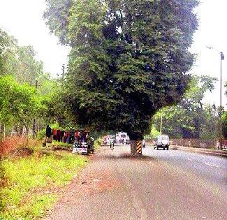 Nashik-Pune highway is dangerous | नाशिक-पुणे महामार्ग धोकादायक