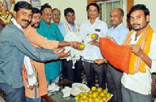 To get the orange to the palace | संत्र्याला मिळावा राजाश्रय To get the orange to the palace | संत्र्याला मिळावा राजाश्रय