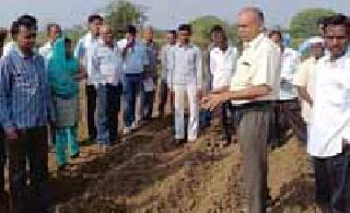 Vegetable production from natural farming | नैसर्गिक शेतीतून भाजीपाला उत्पादन Vegetable production from natural farming | नैसर्गिक शेतीतून भाजीपाला उत्पादन