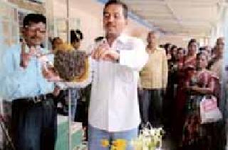 The need for conservation of bees for human existence | मानवी अस्तित्वासाठी मधमाशा संवर्धनाची नितांत गरज The need for conservation of bees for human existence | मानवी अस्तित्वासाठी मधमाशा संवर्धनाची नितांत गरज