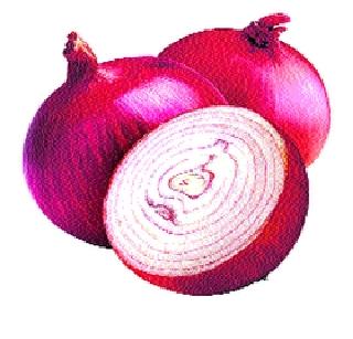 Onion Onion! | कांद्याचा वांदा!