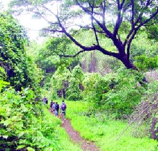 The journey from Tikuniniwadi to Borivali tunnel! | टिकुजिनीवाडी ते बोरिवली बोगद्याचा प्रवास रखडणार! The journey from Tikuniniwadi to Borivali tunnel! | टिकुजिनीवाडी ते बोरिवली बोगद्याचा प्रवास रखडणार!