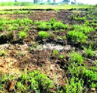 Waiting for the farmers to get the reward | शेतकऱ्यांना प्रतीक्षा मोबदल्याची Waiting for the farmers to get the reward | शेतकऱ्यांना प्रतीक्षा मोबदल्याची