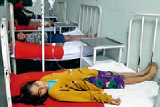 Eight children have been poisoned after eating Chandraguti seeds | चंद्रज्योतीच्या बिया खाल्ल्याने आठ मुलांना विषबाधा Eight children have been poisoned after eating Chandraguti seeds | चंद्रज्योतीच्या बिया खाल्ल्याने आठ मुलांना विषबाधा
