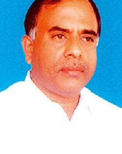 'Break' for the development of Tiroda Area | तिरोडा परिसराच्या विकासाला ‘ब्रेक’