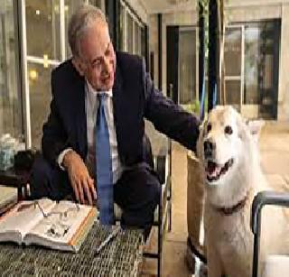 Israeli PM dog arrested | इस्त्रायलच्या पंतप्रधानांच्या कुत्र्याला अटक