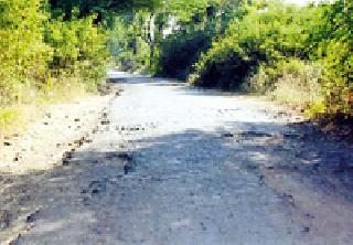 Pinch of thorny bushes on the Pithamanguli-Jarud road | पेठमांगरुळी-जरूड रस्त्याला काटेरी झुडुपांचा विळखा Pinch of thorny bushes on the Pithamanguli-Jarud road | पेठमांगरुळी-जरूड रस्त्याला काटेरी झुडुपांचा विळखा