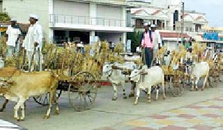 Backdaddy farmers farmed in Tahsale tehsil | बैलबंडीने शेतकरी धडकले तहसीलवर Backdaddy farmers farmed in Tahsale tehsil | बैलबंडीने शेतकरी धडकले तहसीलवर