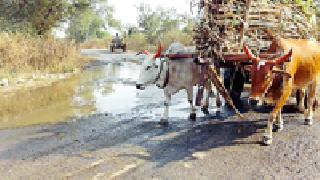 Madan uneven water on the road | मदन उन्नईचे पाणी रस्त्यावर Madan uneven water on the road | मदन उन्नईचे पाणी रस्त्यावर