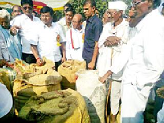 Market Committee Paddy Purchasing Center at Vairagarh | वैरागड येथे बाजार समितीचे धान खरेदी केंद्र सुरू