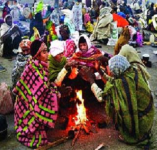 Cold wave continues in the state! | राज्यात थंडीची लाट कायम!