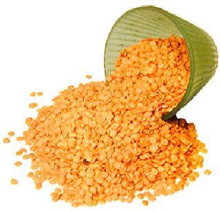 State government responsible for the increase in pulses | डाळींच्या दरवाढीला राज्य सरकार जबाबदार State government responsible for the increase in pulses | डाळींच्या दरवाढीला राज्य सरकार जबाबदार