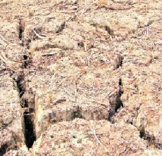 Committees surrender on drought! | दुष्काळावर समित्यांचा उतारा! Committees surrender on drought! | दुष्काळावर समित्यांचा उतारा!