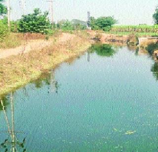 Shirur, Mulshi read the water! | शिरूर, मुळशीचे वाचले पाणी!