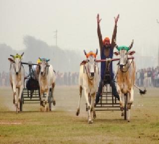 The Central Government lifted the ban on bullock cart | केंद्र सरकारने बैलगाडी शर्यतीवरील बंदी उठवली