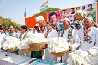 Cotton free to the marketing Mahanagarh | पणन महासंघाला दिला कापूस फुकट