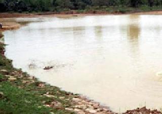 Launch of repairs and rehabilitation work in Malgujari ponds | मालगुजारी तलावांची दुरूस्ती व पुनर्स्थापना कामाचा शुभारंभ