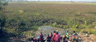 Poles of Lake Aquaria with Terror | अकार्निया वनस्पतीने तलाव धोक्यात Poles of Lake Aquaria with Terror | अकार्निया वनस्पतीने तलाव धोक्यात