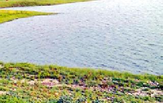 Gosekhurd's water is an antidote for the farmers | गोसेखुर्दचे पाणी ठरले शेतकऱ्यांसाठी मारक