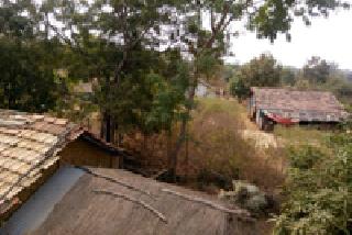 When will the light of electricity in Navanagar village? | नवानगर गावात विजेचा प्रकाश पडणार कधी? When will the light of electricity in Navanagar village? | नवानगर गावात विजेचा प्रकाश पडणार कधी?