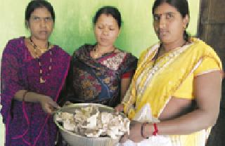 Mashroom farm leaps to self-sufficiency of women saving group | मशरूम शेतीतून महिला बचत गटाची स्वयंपूर्णतेकडे झेप Mashroom farm leaps to self-sufficiency of women saving group | मशरूम शेतीतून महिला बचत गटाची स्वयंपूर्णतेकडे झेप