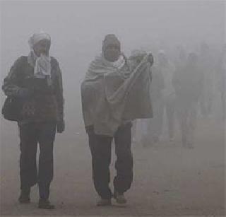 Winter wave of Vidarbha | विदर्भात थंडीची लाट