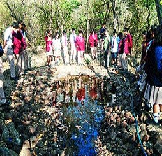 A big challenge to rejuvenate wetlands | पाणथळांना नवसंजीवनी देण्याचे मोठे आव्हान