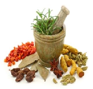 Ayurveda for treatment | उपचारासाठी आयुर्वेदाकडे