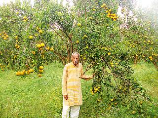 Zero cost farming | शून्य खर्चाची शेती