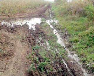 The mud of the road due to smallpox | लघुपाटाच्या गाळामुळे रस्ते गेले चिखलात The mud of the road due to smallpox | लघुपाटाच्या गाळामुळे रस्ते गेले चिखलात
